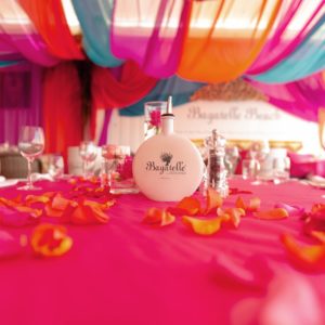 BOLLYWOOD BAGATELLE (3)