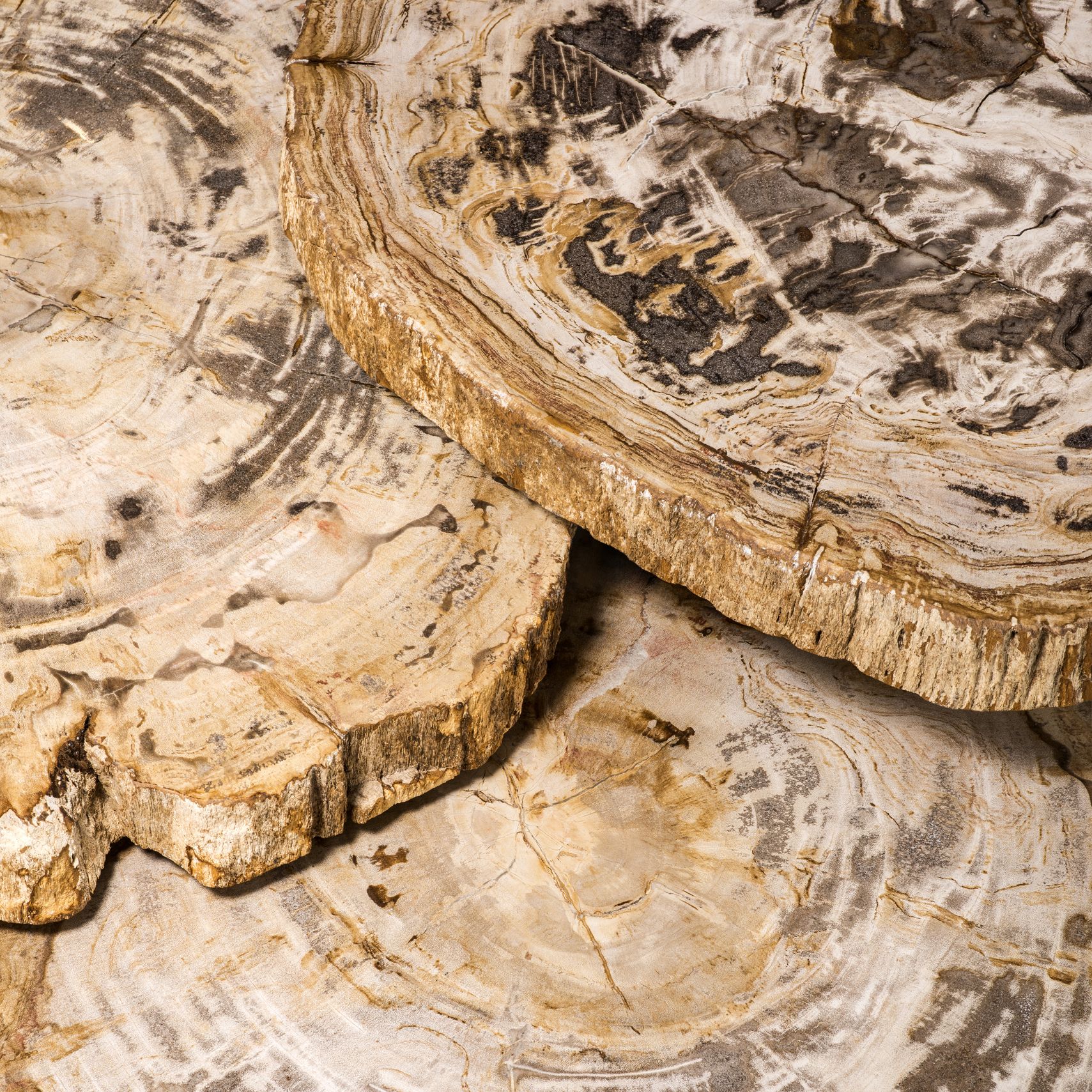 Table basse en bois FOSS – Image 4